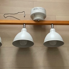 木製シーリングスポット