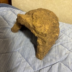 爬虫類などに。。大きめシェルターの画像