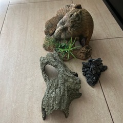 水槽用オブジェ３点の画像