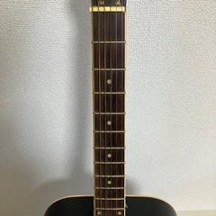Epiphone アコースティックギター DR-100 EB ブラックの画像