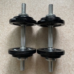 ファイティングロードダンベル 10kg×2の画像