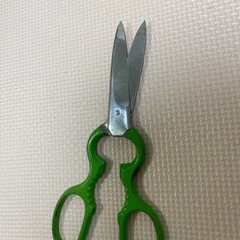 ハサミの画像