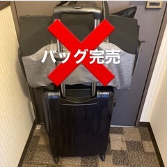 スーツケースS40ℓの画像