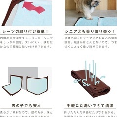 【ＨＡＲＩＯ】ハリオ　ワンコトイレマット レギュラー ブラウン 老犬の画像