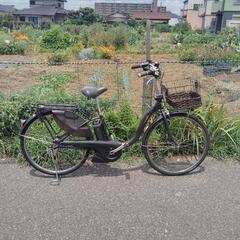 YAMAHA PASwith DXの画像