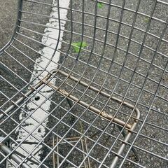 【武蔵小山店】  [在庫2点→1点] ワイヤーチェア　シェルチェア　シェルサイドチェア　検　リプロダクト　DKR ハーマンミラー　Herman miller hermanmiller  エッフェルベース　1960-1970 初期　希少　レア　イームズ　EAMS ビンテージ　ヴィンテージ　vintage wirechair wire chairの画像