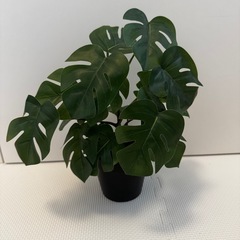 イケア　IKEA フェイカ　フェイクグリーンの画像