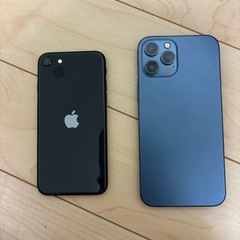 iPhone SE iPhone Pro MAXジャンク品
の画像