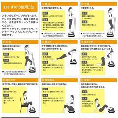 [未使用] 健康器具 ライフフィット　トレーナー　2wayの画像