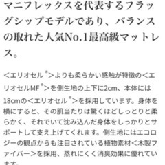 8/6まで［magniflex］フラッグ FX クイーン/新品時183,700円［5年使用］の画像
