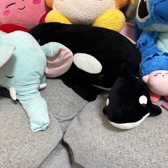 ぬいぐるみの画像
