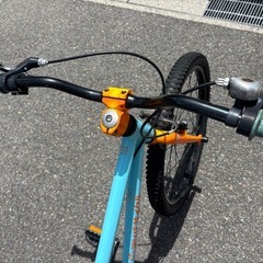 ヨツバ ゼロ 20の画像