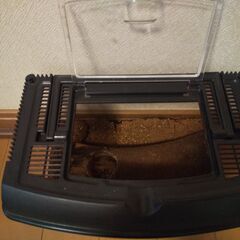 クワガタ・カブトムシ　飼育セットの画像