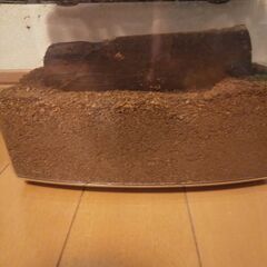 クワガタ・カブトムシ　飼育セットの画像