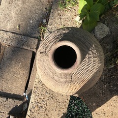 壺‼️  無料‼️の画像