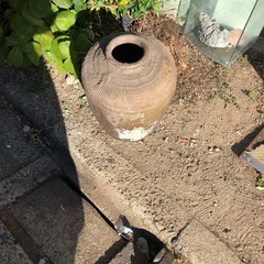 壺‼️  無料‼️の画像