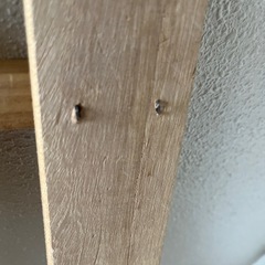 すのこの画像
