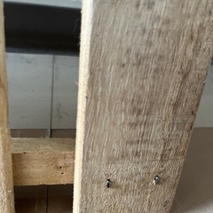 すのこの画像