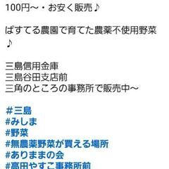 野菜をつくって　食べて幸せになる　well-being  三島育ちの野菜を三島の人の幸せにつなげたいの画像