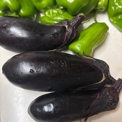 トマトなどの画像