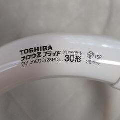 【新品未使用】TOSHIBA PRIDE 30型（1個）の画像