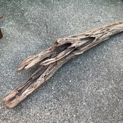 流木 全長約1メートル ハンドメイド　爬虫類🦎の画像