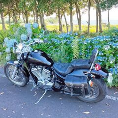 ✨個人出品✨旧車✨車検タップリ✨希少✨ ホンダ スティード600 フルノーマル 状態良好 HONDA STEED600の画像