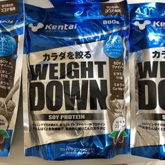 ケンタイ　プロテイン　6袋セットの画像