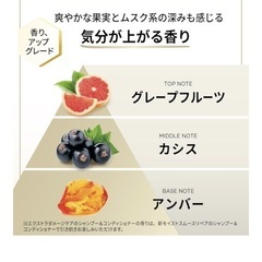 パンテーン コンディショナー 860g [2.8 個分] 詰め替え 超特大 エクストラダメージリペアの画像