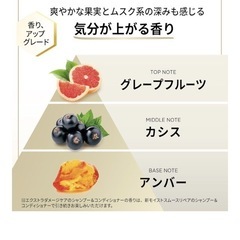 パンテーン シャンプー 2L [6.7 個分]詰め替え大容量 エクストラダメージリペアの画像