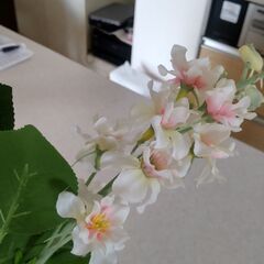 造花の画像