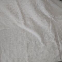 マルチカバー2m×2.4m 生成 白 ニトリの画像