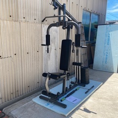BODYMAKER ホームジム DX TM066の画像