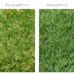 人工芝　残り約2✖️3m ✖️２本の画像