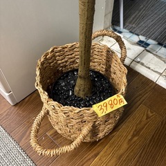 【フェイクグリーン】【観葉植物】【管理番号12707】町の画像