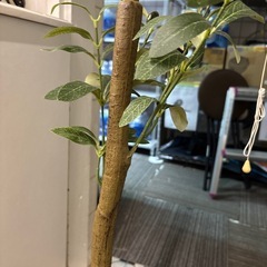 【フェイクグリーン】【観葉植物】【管理番号12707】町の画像