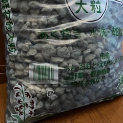 軽石 大粒の画像