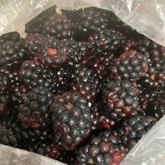 ブラックベリー　500gの画像