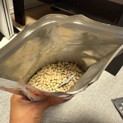 ハムスター　ご飯　トイレ砂　床材の画像