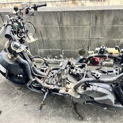 シグナス2型✨低走行✨美品✨の画像