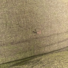 折り畳みソファベッドの画像