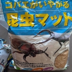 虫かご　昆虫マット　セットの画像