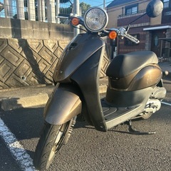 箕面市引取希望　ホンダ　トゥデイ　af67 原付　スクーターの画像