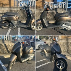 箕面市引取希望　ホンダ　トゥデイ　af67 原付　スクーターの画像