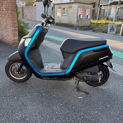 ダンク50　の画像