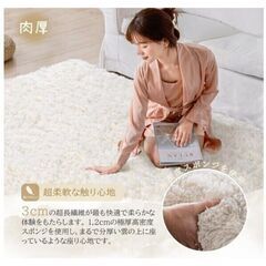 再2【3畳】 絨毯 カーペット ラグマット 【200*250】 Beddiny シャギーラグ 【ブラック×グレー】ホットカーペット 低反発 厚手 洗濯可の画像