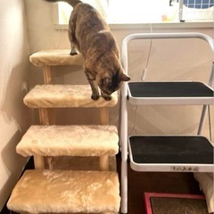 犬猫用★ステッパー　ペットの階段　4段　猫ちゃん用　ステップ　階段の画像