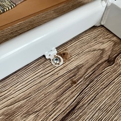 ダイニングテーブル4点セット（4人掛けベンチタイプ）の画像