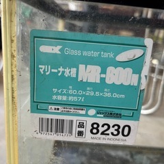 水槽、熱帯魚、メダカの画像