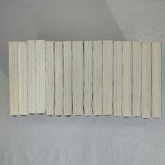 バカとテストと召喚獣 ライトノベル16冊セットの画像